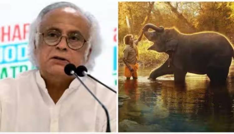 Oscars 2023: ‘The Elephant Whisperers Win May Force PM Modi Govt Not To Amend Wild Life Act,’ Says Congress MP Jairam Ramesh